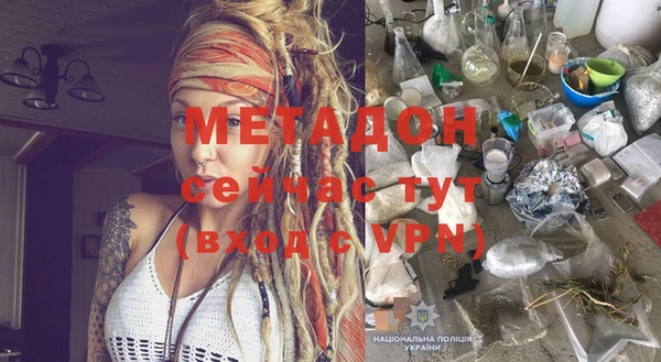 шишки Слюдянка