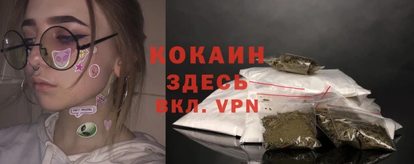 шишки Слюдянка