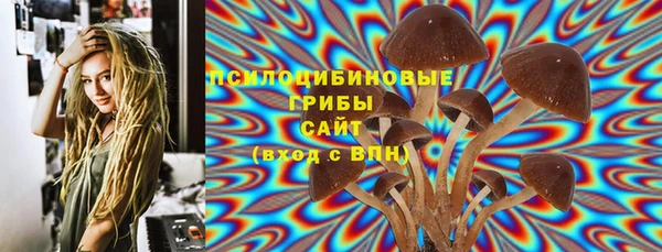 соль курить ск Алексеевка