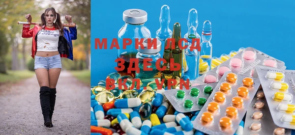 шишки Слюдянка