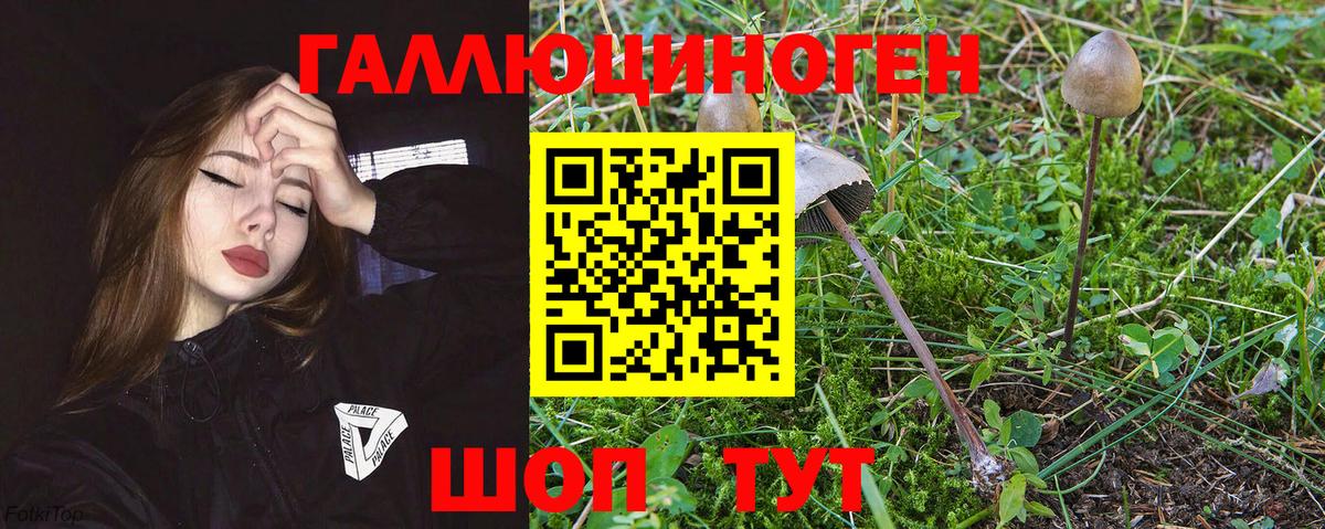 Галлюциногенные грибы прущие грибы Воткинск