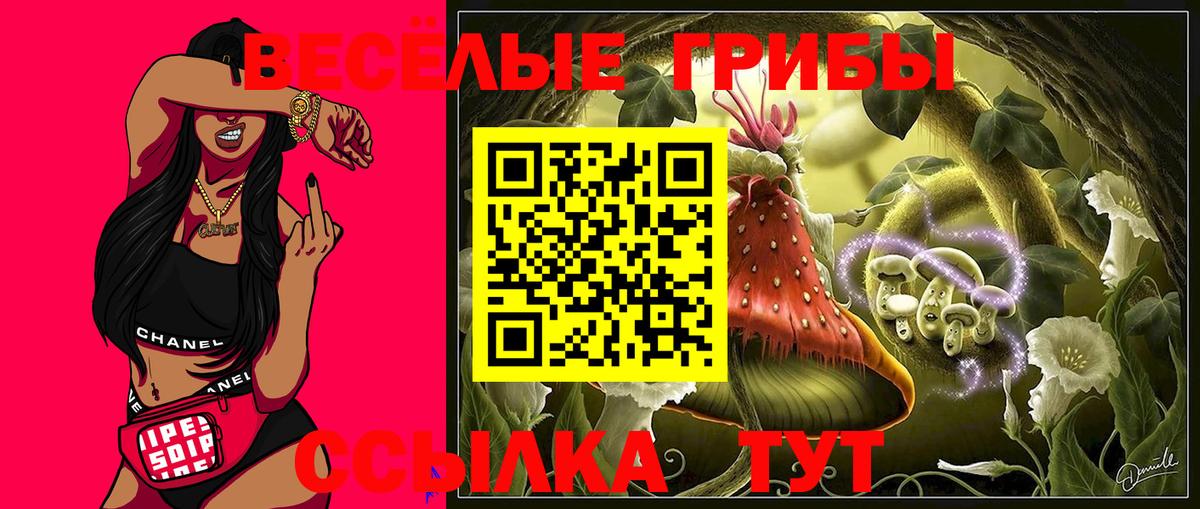 Галлюциногенные грибы Psilocybe  Вход с VPN  Воткинск 